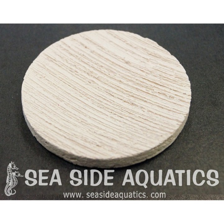 2" Ceramic Coral Frag Disc