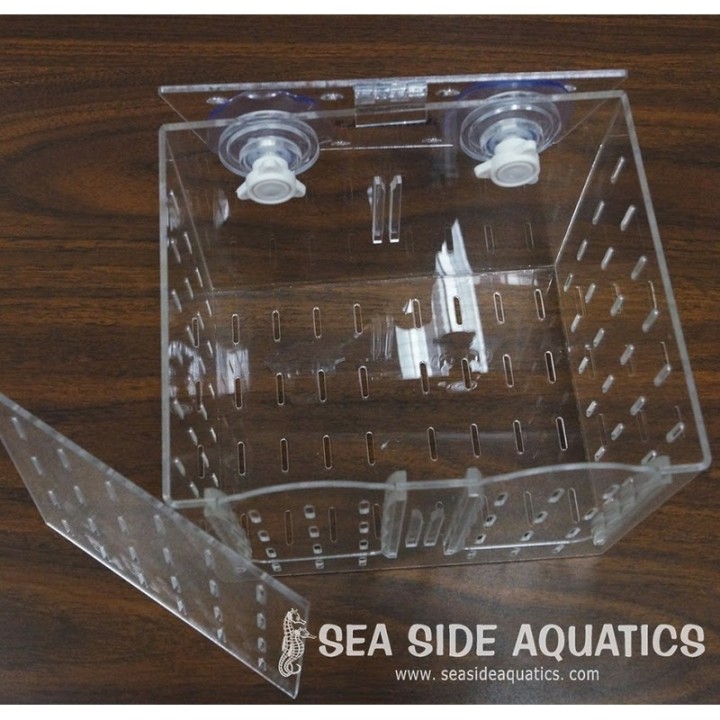 Sea Side Aquatics Acclimation Box RF