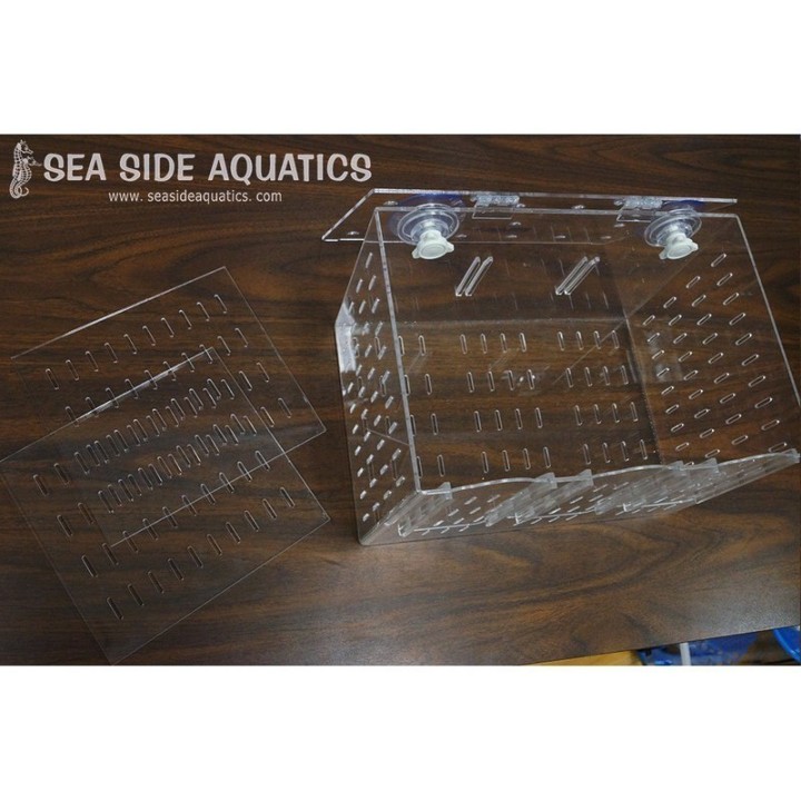 Sea Side Aquatics Acclimation Box RF