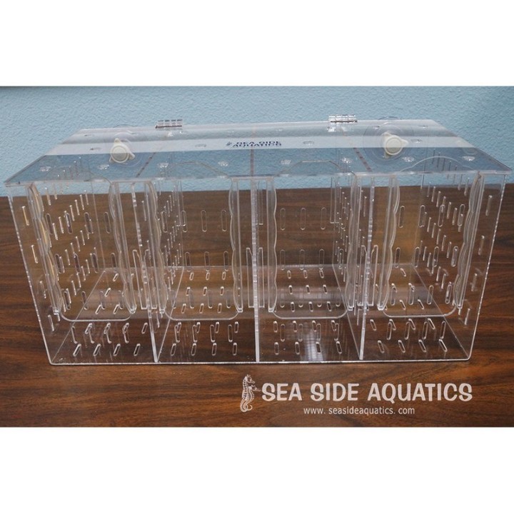 Sea Side Aquatics Acclimation Box RF