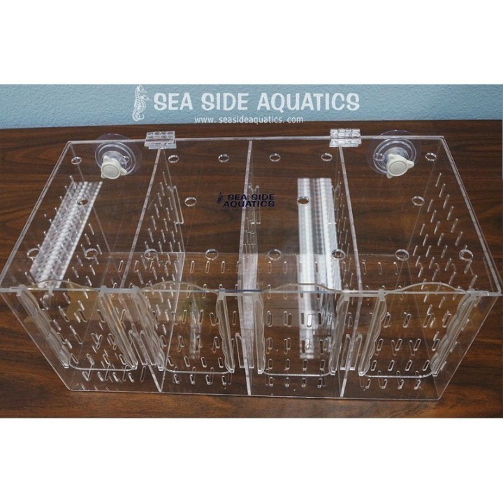Sea Side Aquatics Acclimation Box RF