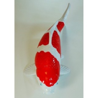 Koi Replica Kohaku