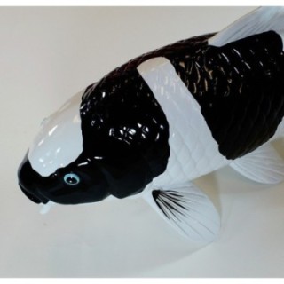 Koi Replica Shiro