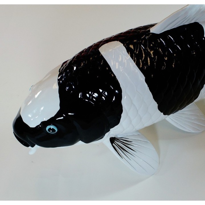 Koi Replica Shiro