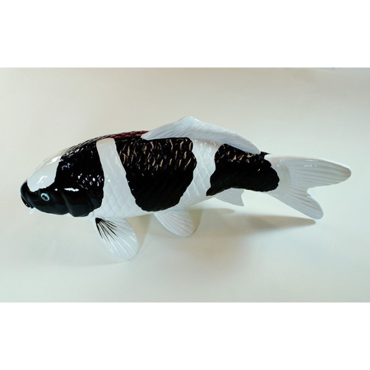 Koi Replica Shiro