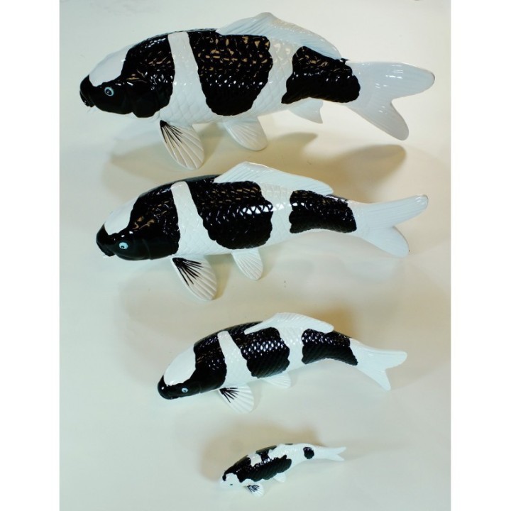 Koi Replica Shiro