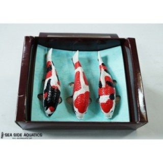 Koi Replica Magnetic Style 2 (Showa,Sanke,Kohaku)