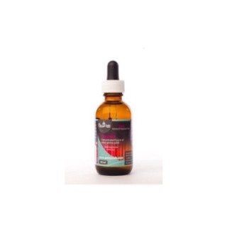 Polyp Lab Colors 50ml