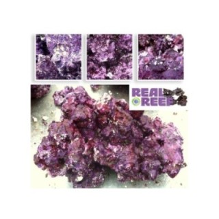 Real Reef Rock (60 lb) Box - Mixed Size (Medium) - Real Reef