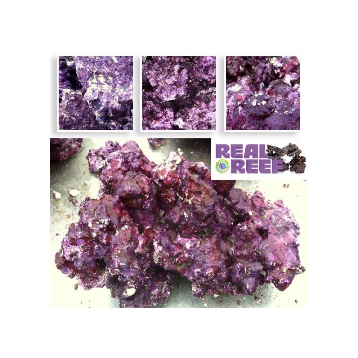 Real Reef Rock (60 lb) Box - LG/XL Size - Real Reef