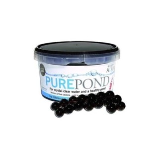 Pure Pond - Evolution Aqua