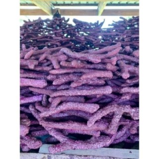 Walt Smith Reef Rock Branching Box