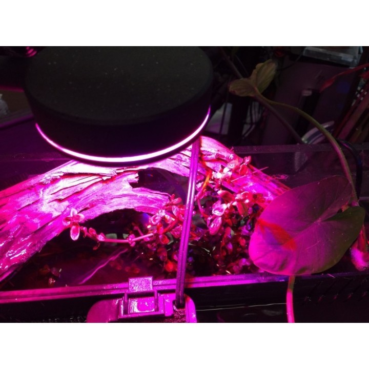 Q2-C Refugium LED Light