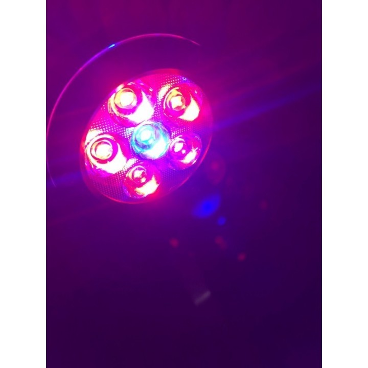 Q2-C Refugium LED Light