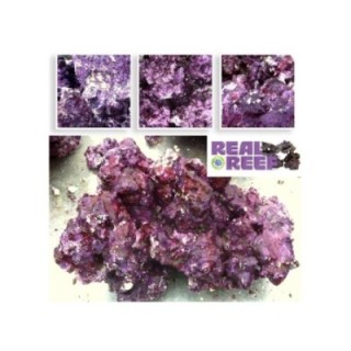 Real Reef Rock (60 lb) Box - Medium - Real Reef