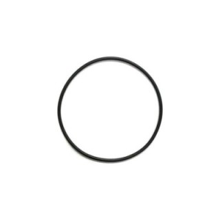 Ultima II O Ring For 1,000-20,000 Filter (A50055) MAP $28.45