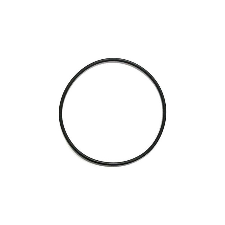 Ultima II O Ring For 1,000-20,000 Filter (A50055) MAP $28.45