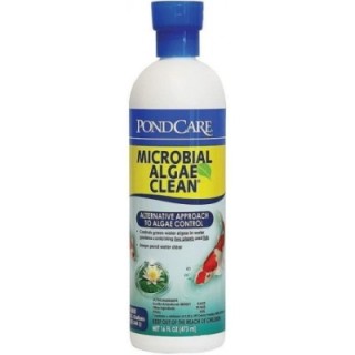 Microbial Algae Clean Pond Algae Remover, 16 oz - API PondCare