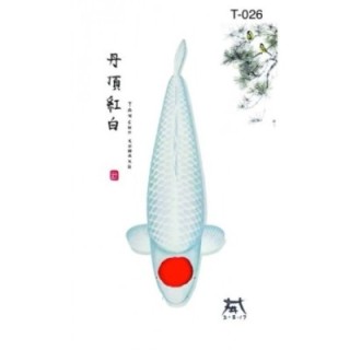T026 - Tancho Kohaku