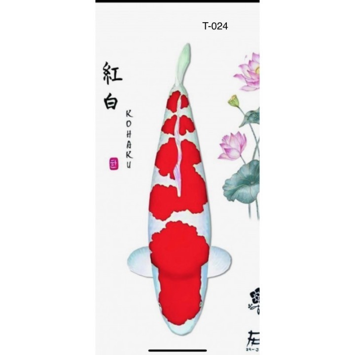 T024 - Kohaku