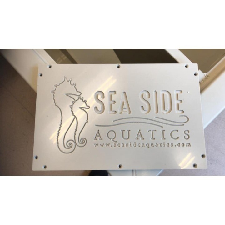 PP-35 Wifi Version RDF - SeaSide