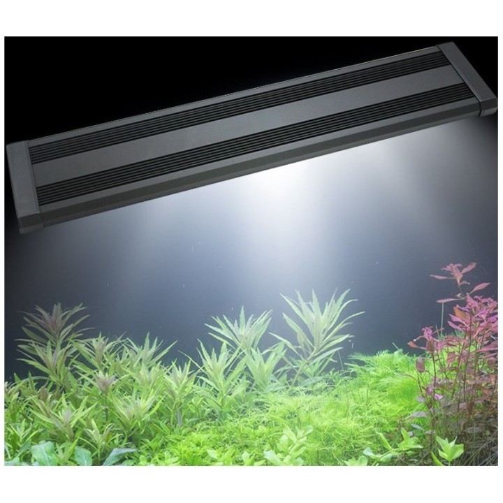48" Full Spectrum High Output LED Light Fixture