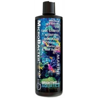 MicroBacter Start XLM - Brightwell Aquatics