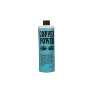 16 oz Copper Power Parasite Treatment - Endich