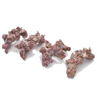 Arches Life Rock Dry Live Rock 4pcs - CaribSea