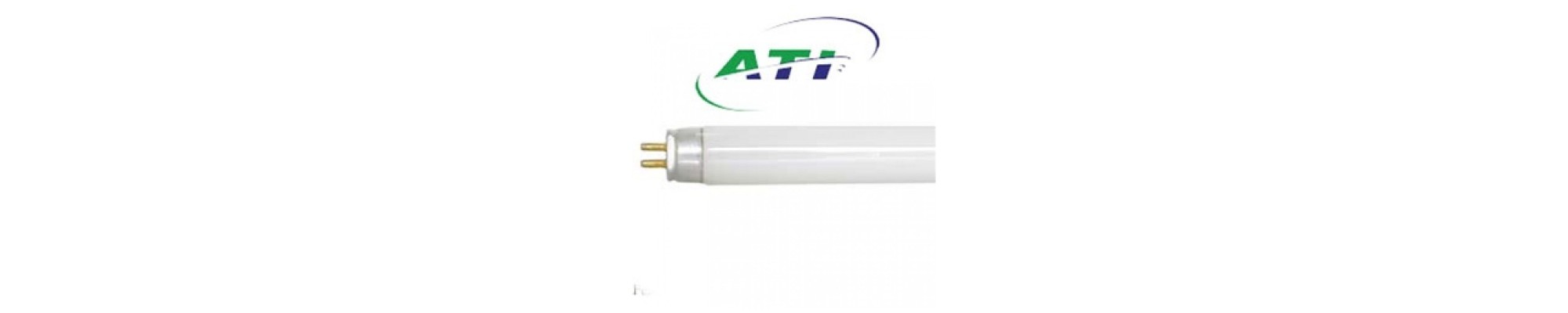 T-5 Light Bulbs